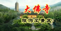 高跟美女日逼中国浙江-新昌大佛寺旅游风景区